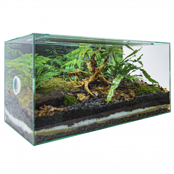 PLANTCUBE - Vivarium 60x30x30 Panorama